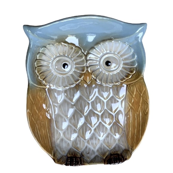Variety WS Other - Owl Glazed Ceramic Muti Use Dish Tray Whimsical Blue Decorative Functional Art